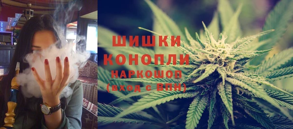 ПСИЛОЦИБИНОВЫЕ ГРИБЫ Аркадак