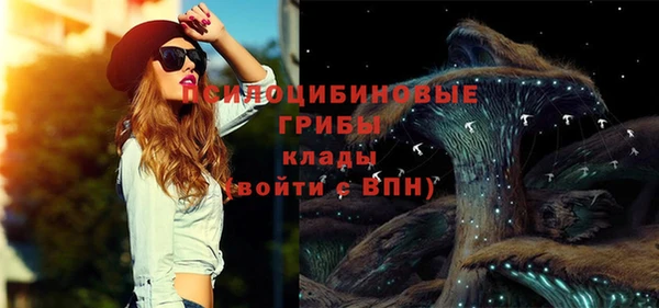 круглые Арсеньев