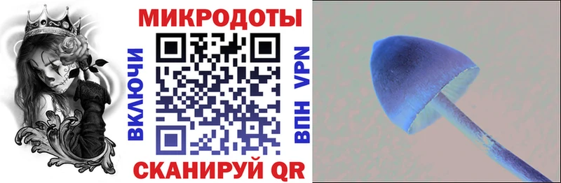 купить цена МЕГА онион Псилоцибиновые грибы мухоморы Сольвычегодск