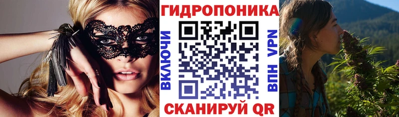 цены   блэк спрут как войти  Каннабис конопля  Сольвычегодск 